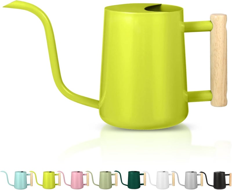 GUKJOB Watering Can Indoor Plants, 35oz Small Stainless Steel Metal Watering Can Modern Decorative Watering Pot with Long Spout for Indoor House Plant Bonsai Garden Flowers (Bright Green) - Image 1